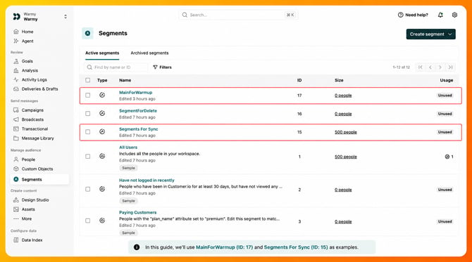 5 - Show the Example Segments with IDs